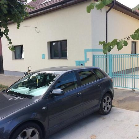 Maremi Apartment Timisoara Bagian luar foto